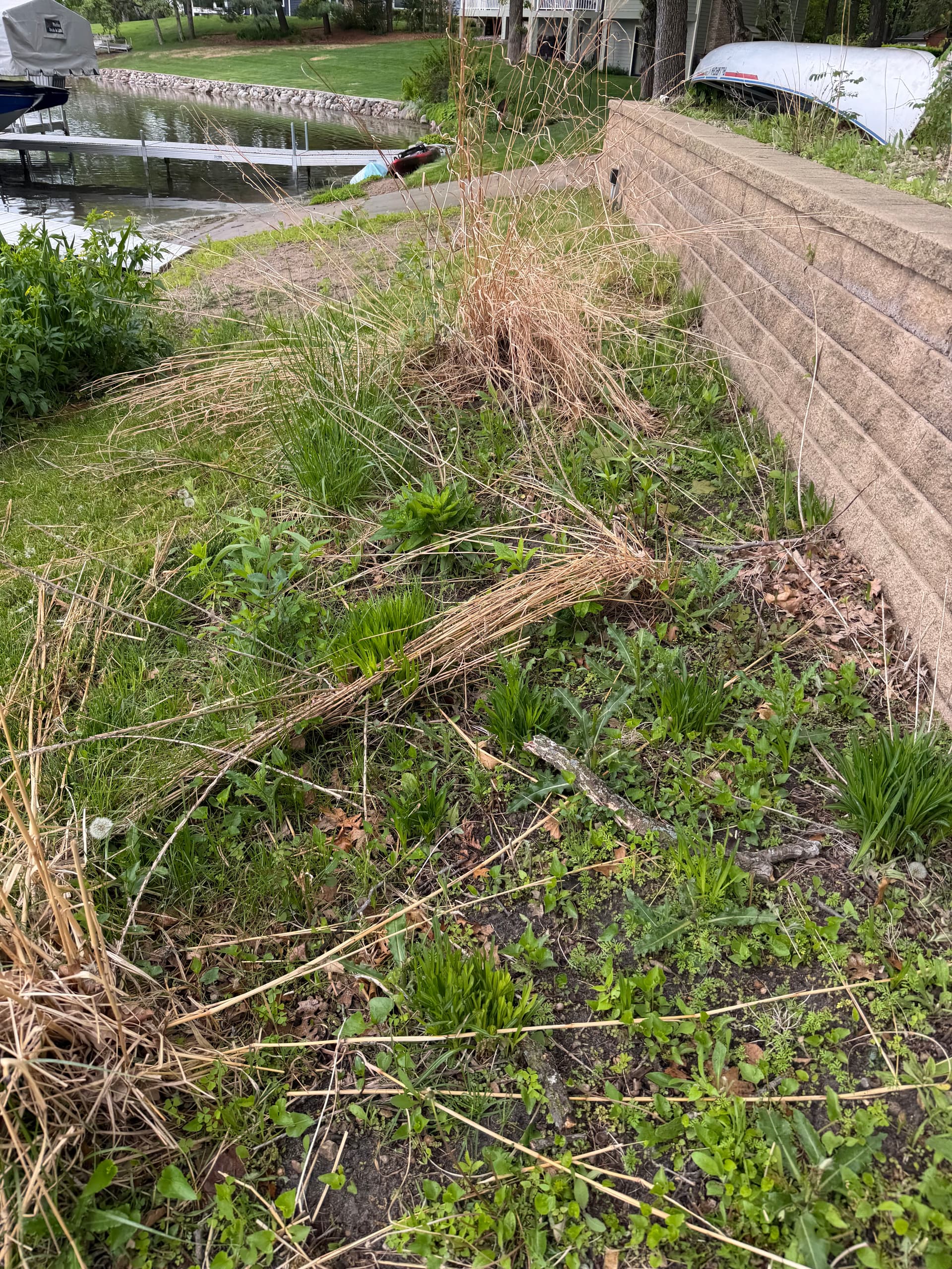 Gallery photos for Wright County Lakefront Landscaping and Shoreline Cleanup: Image #6
