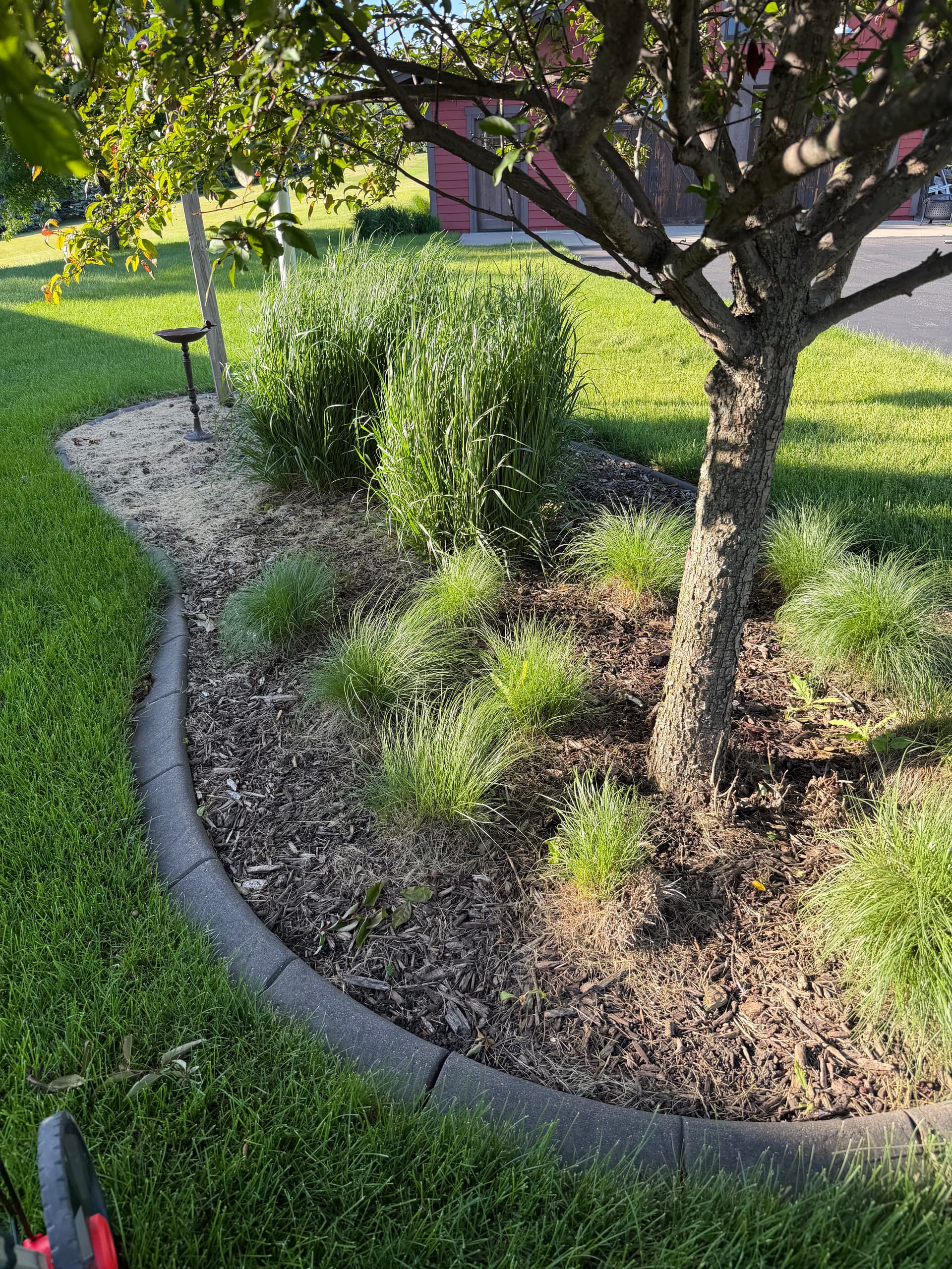 Gallery photos for Fresh Mulch and Shrub Trimming Makes a Big Difference: Image #5