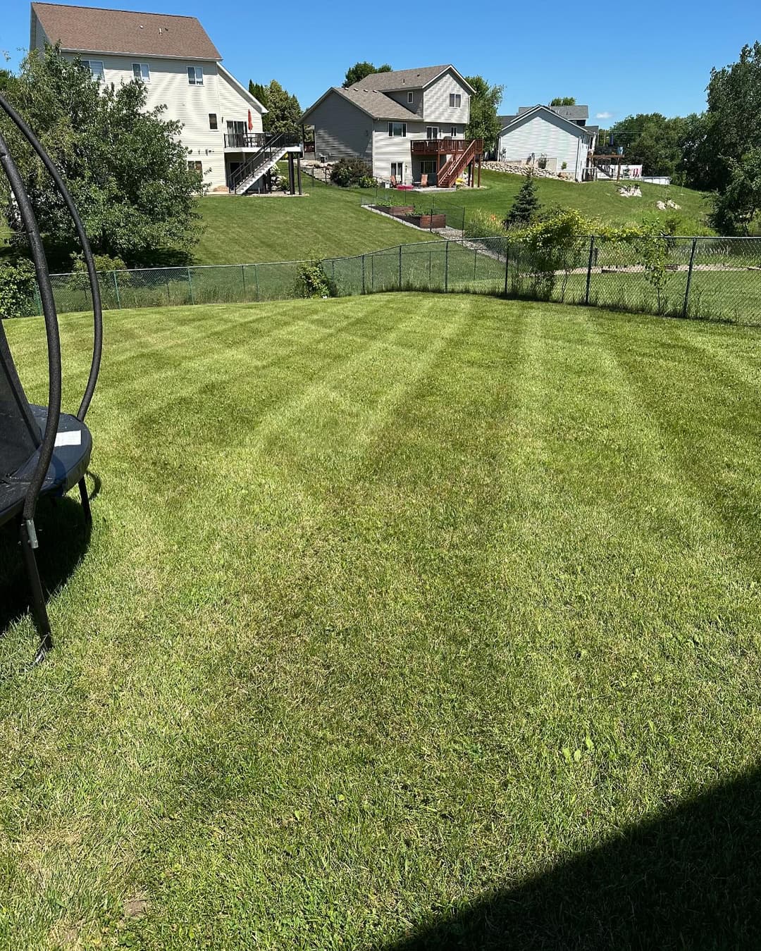 Lush green lawn with neatly striped grass and residential homes in the background.