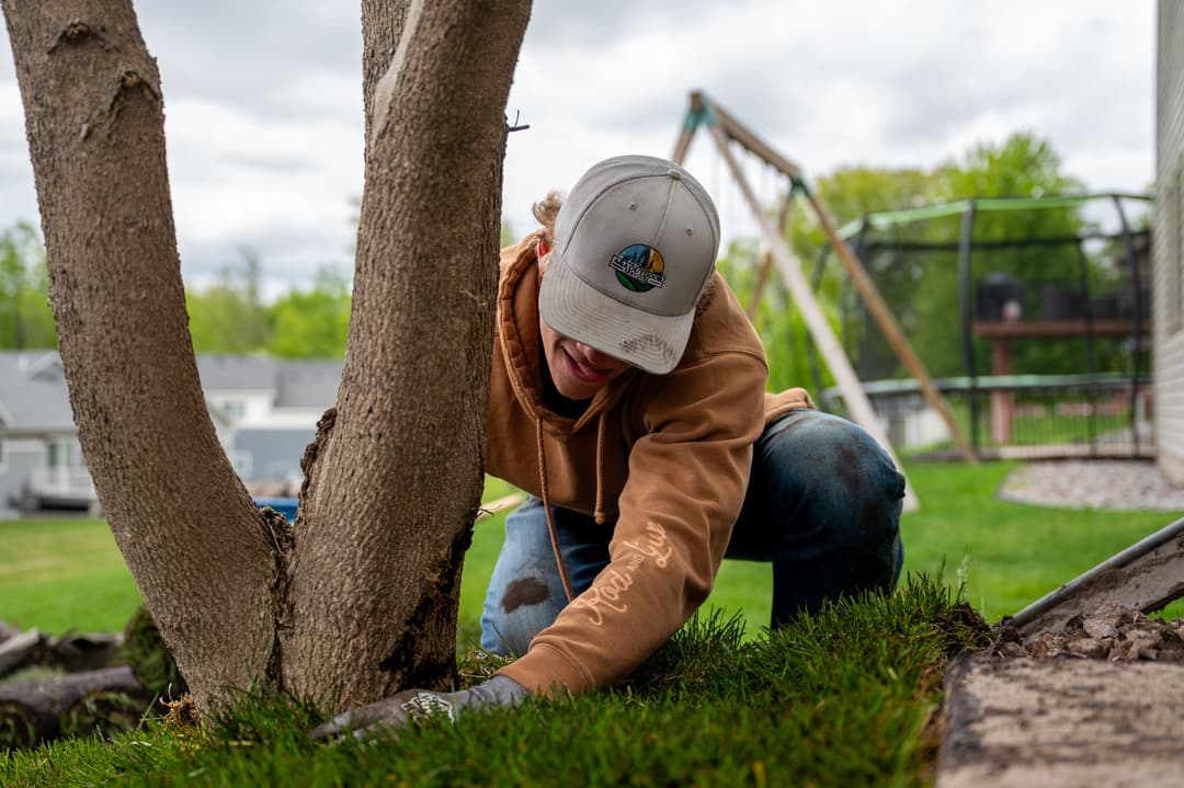 Person gardening near a tree, planting grass or mulch in a residential backyard.