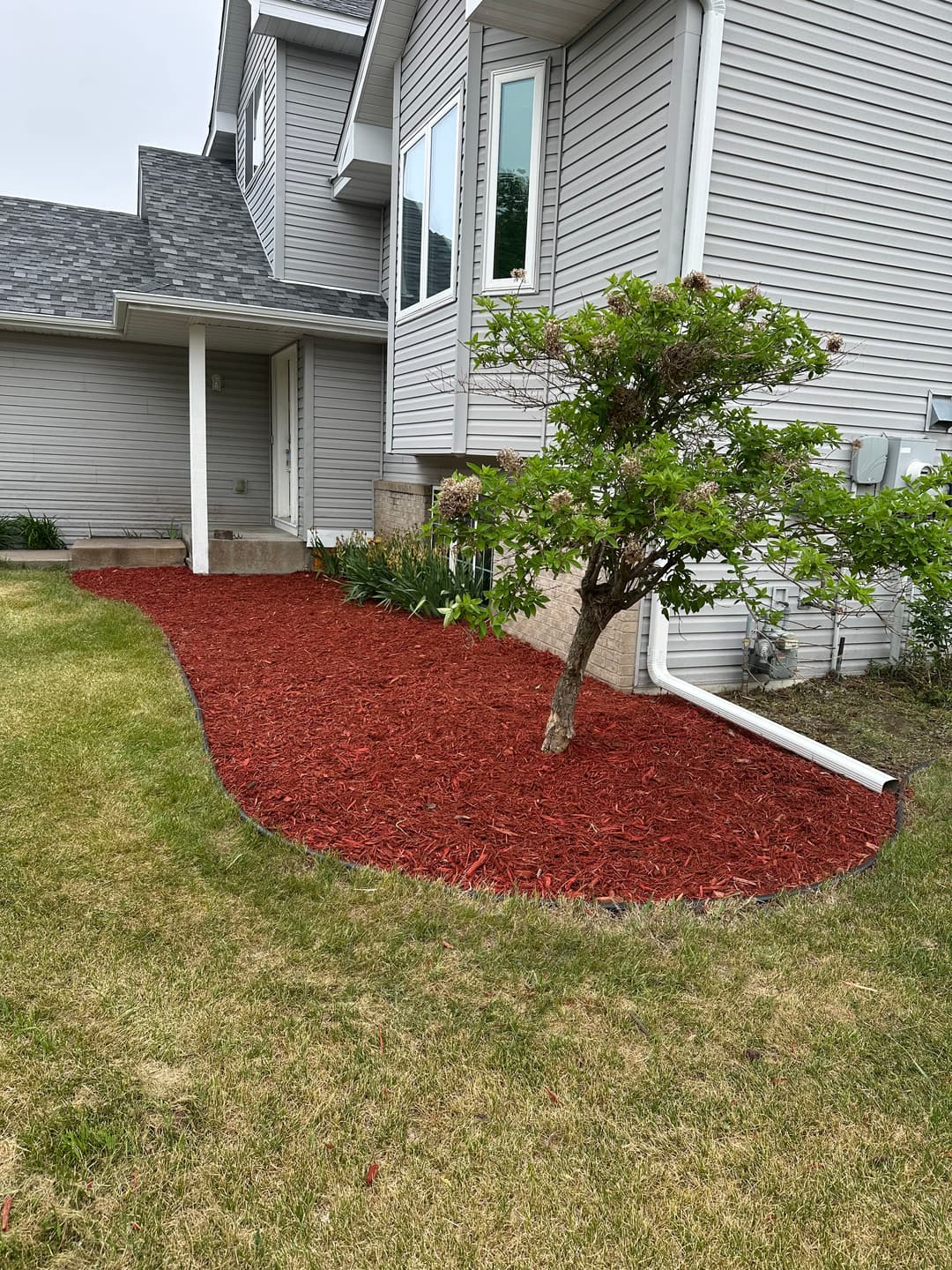 Landscape featuring red mulch bed with small tree and modern home exterior.