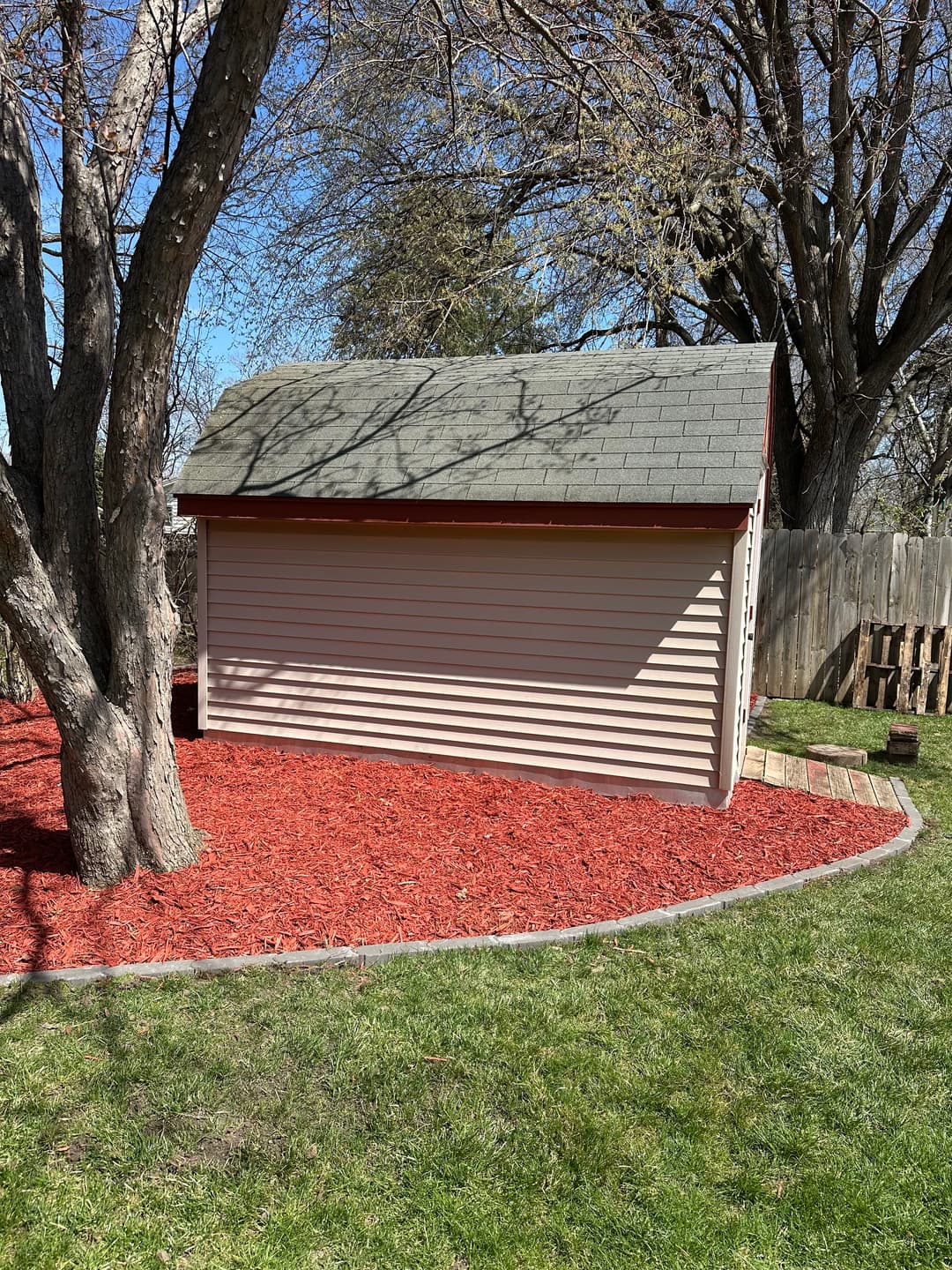 shed in a landscaped yard with red mulch and tree shadows on a sunny day