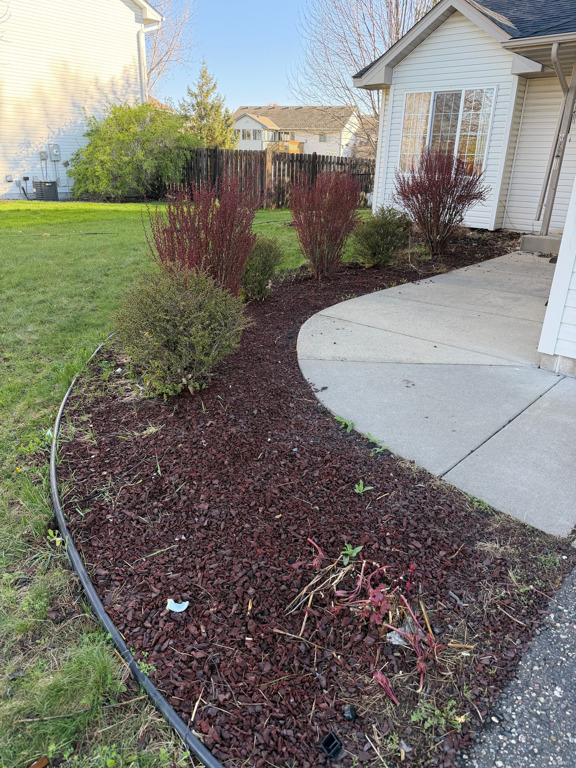 Overgrown Landscape Beds Cleaned Up and Rebuilt Right image