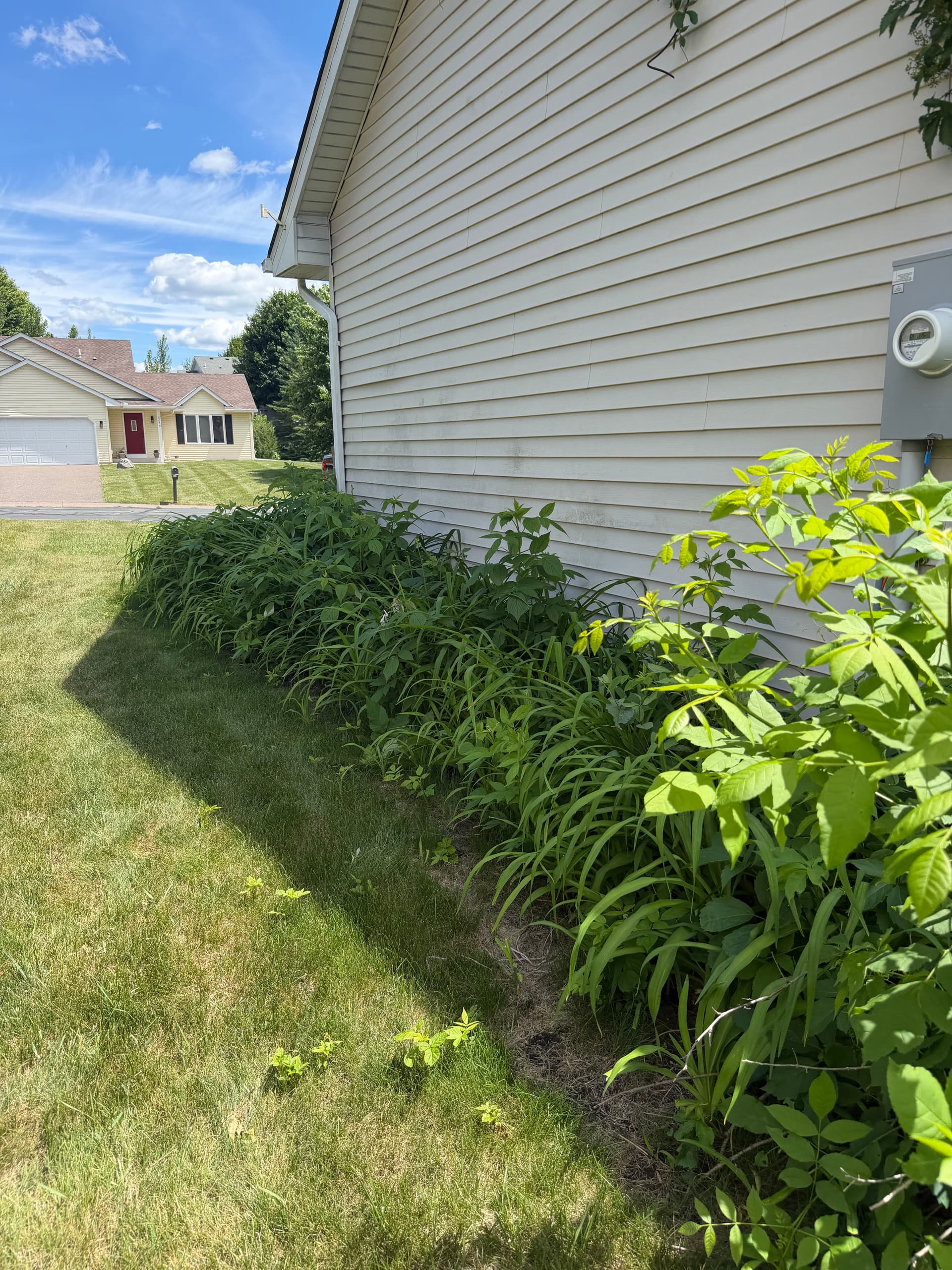 Gallery photos for Overgrown Beds Cleaned Out and Rebuilt for Low-Maintenance Living: Image #5
