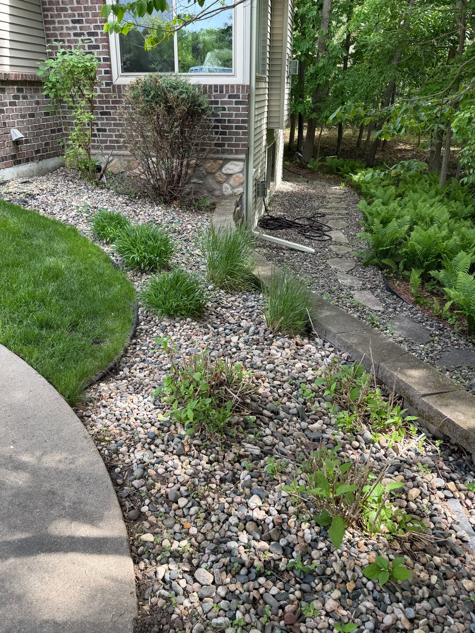 Gallery photos for Rock Bed Refresh with Deer-Resistant Plants in Wright County: Image #1