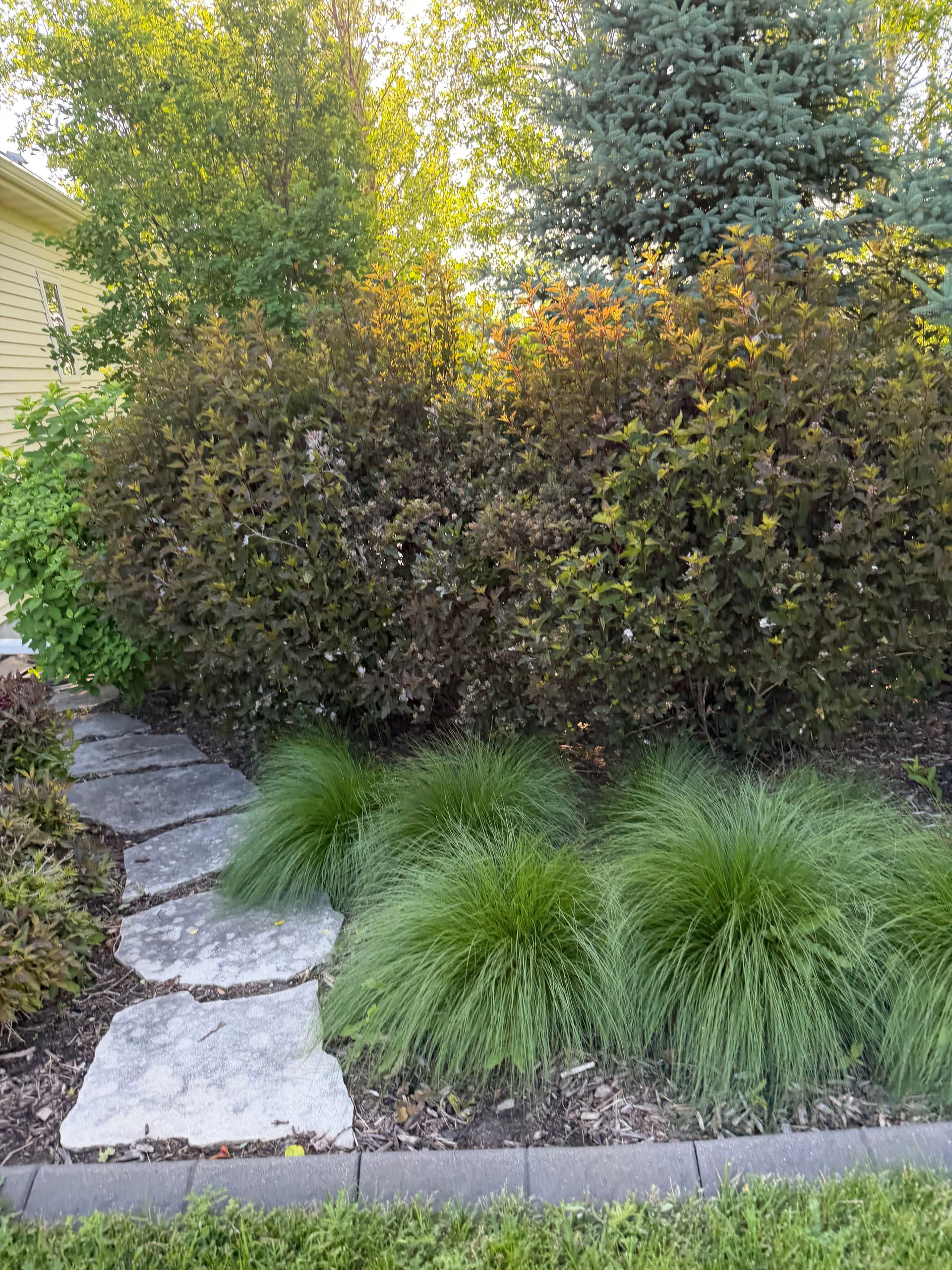 Gallery photos for Fresh Mulch and Shrub Trimming Makes a Big Difference: Image #3