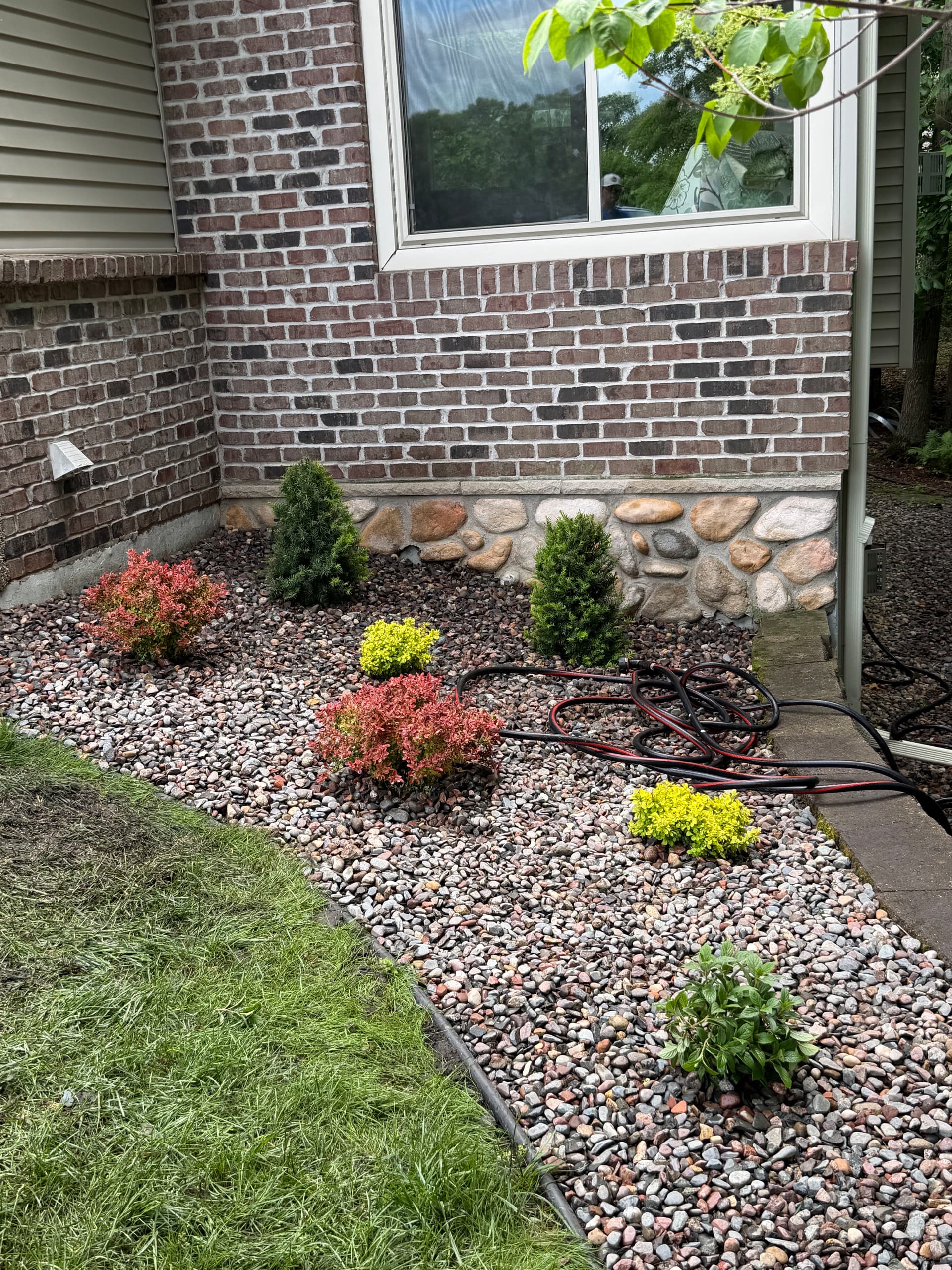 Rock Bed Refresh with Deer-Resistant Plants in Wright County image