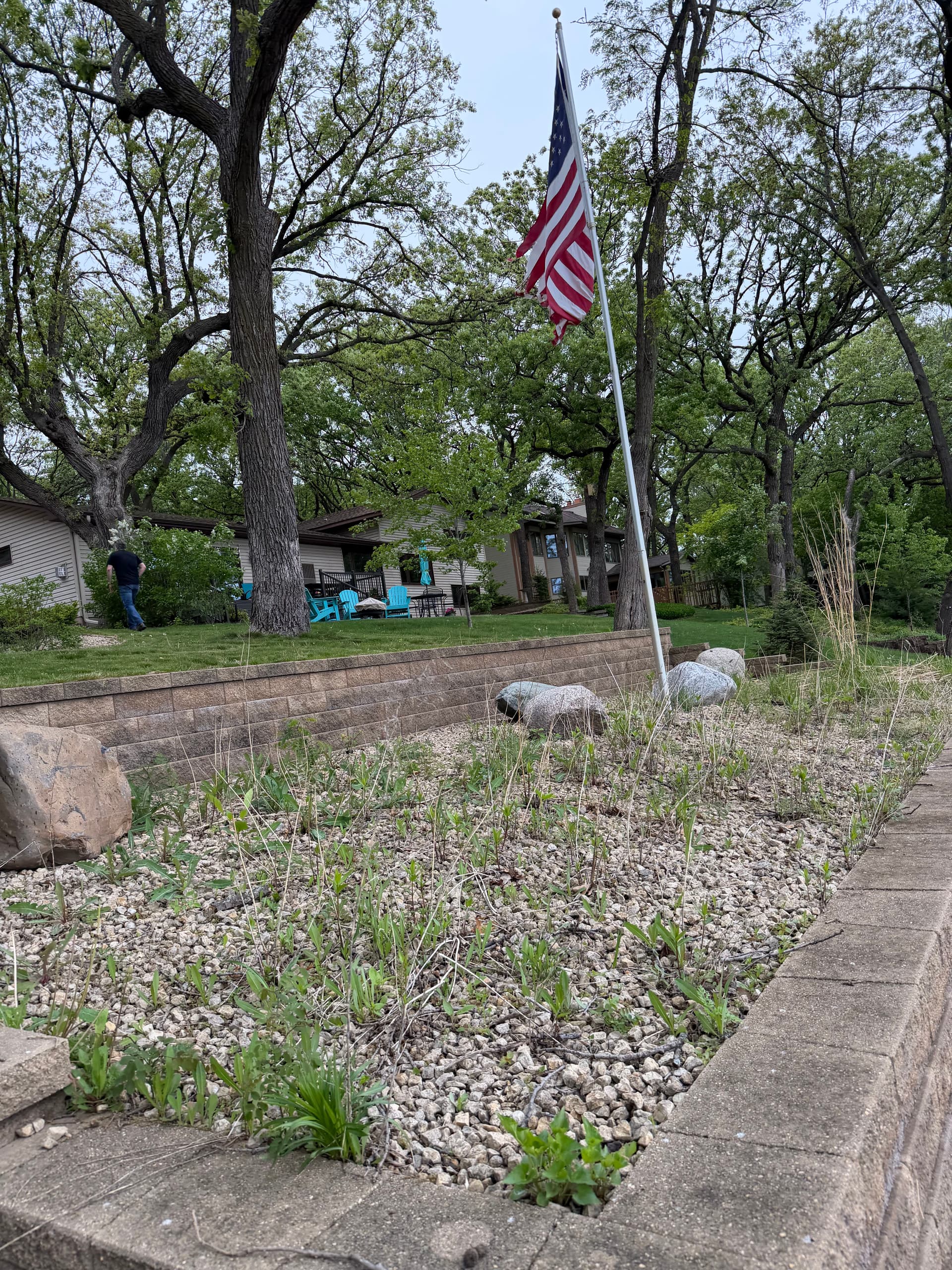 Gallery photos for Wright County Lakefront Landscaping and Shoreline Cleanup: Image #5