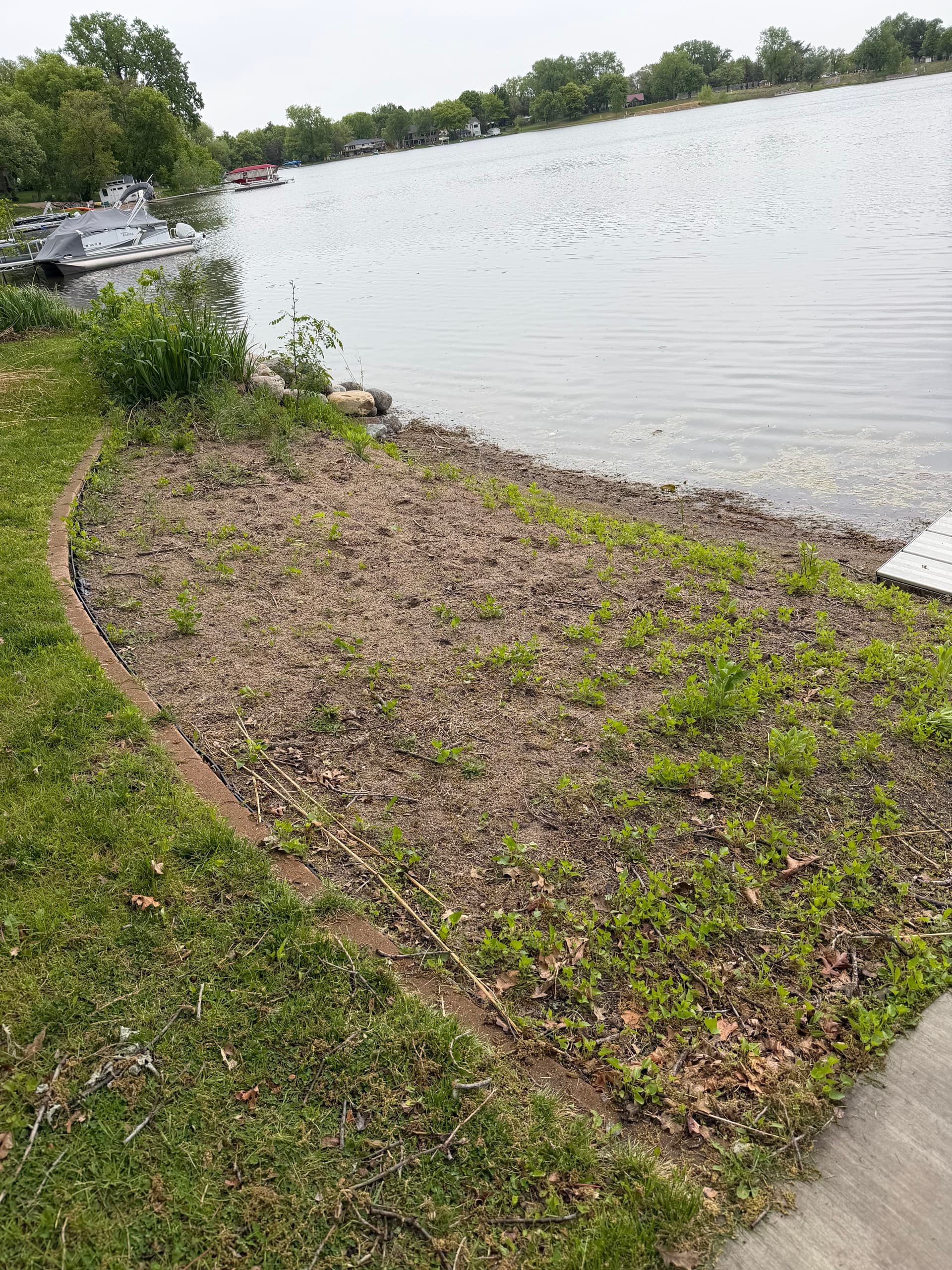 Gallery photos for Wright County Lakefront Landscaping and Shoreline Cleanup: Image #1