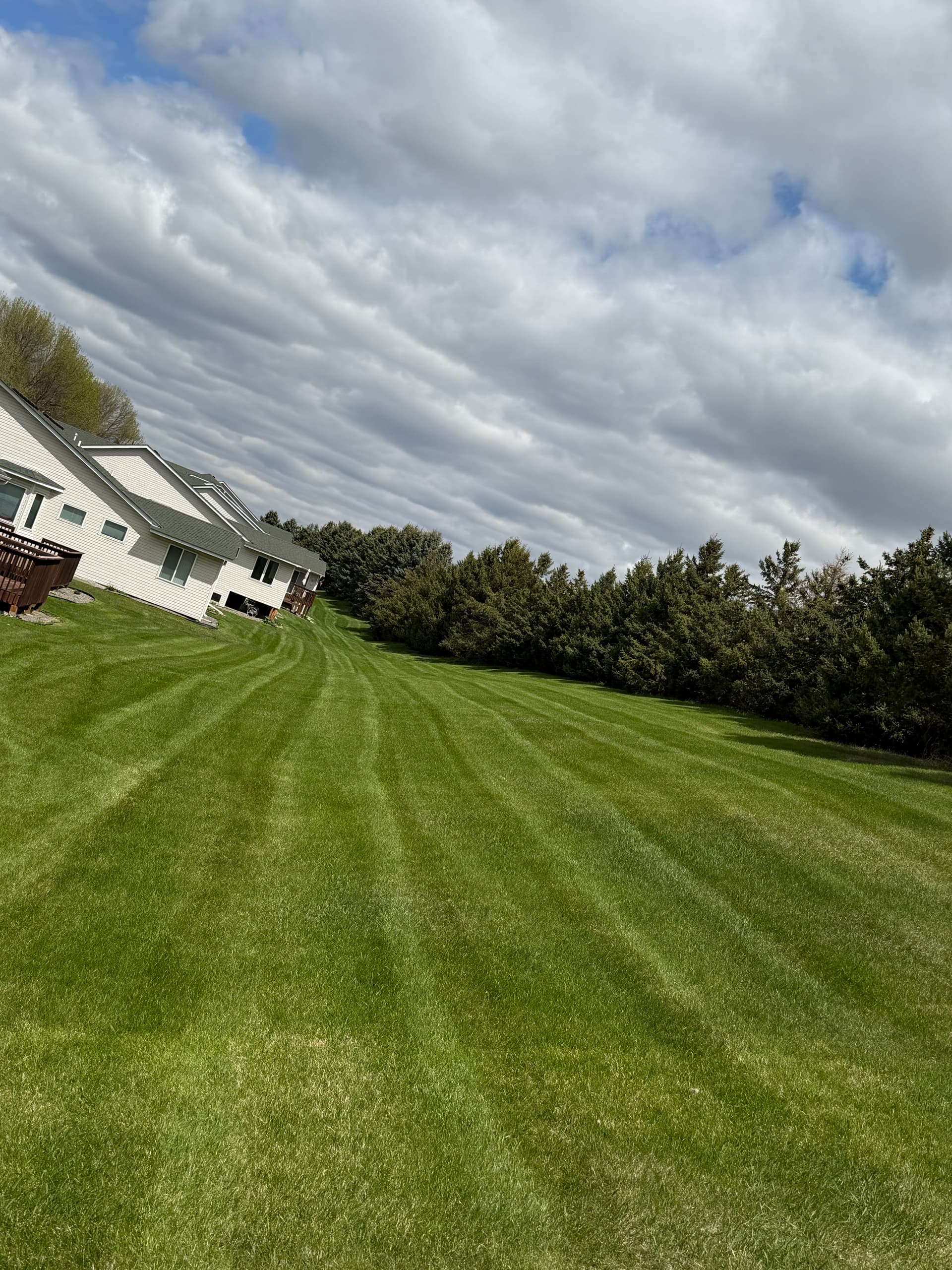 Weekly Lawn Maintenance Across Residential and Commercial Properties image