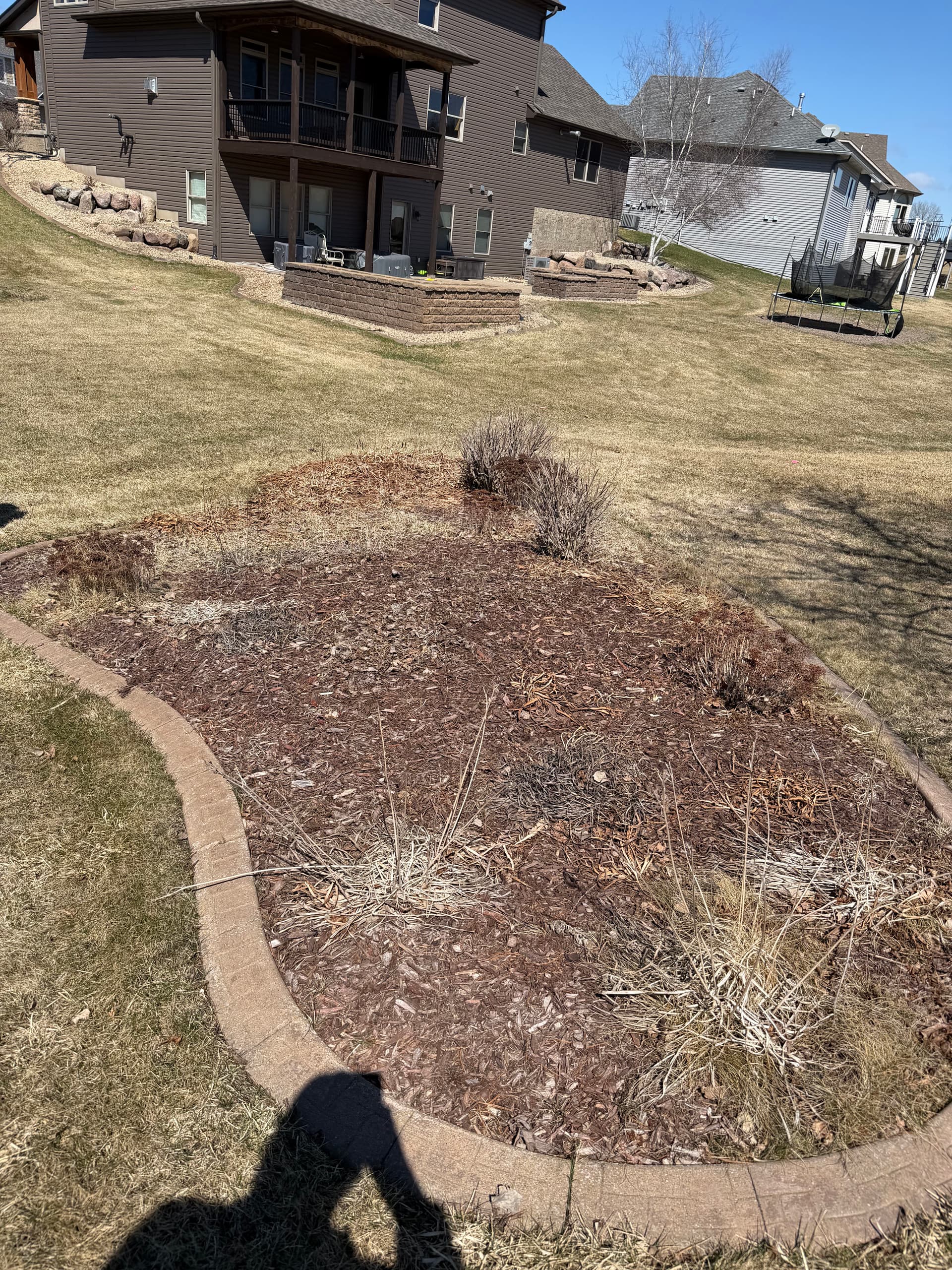 Gallery photos for Before and After Landscape Redesign with Rock and Fresh Plants: Image #1