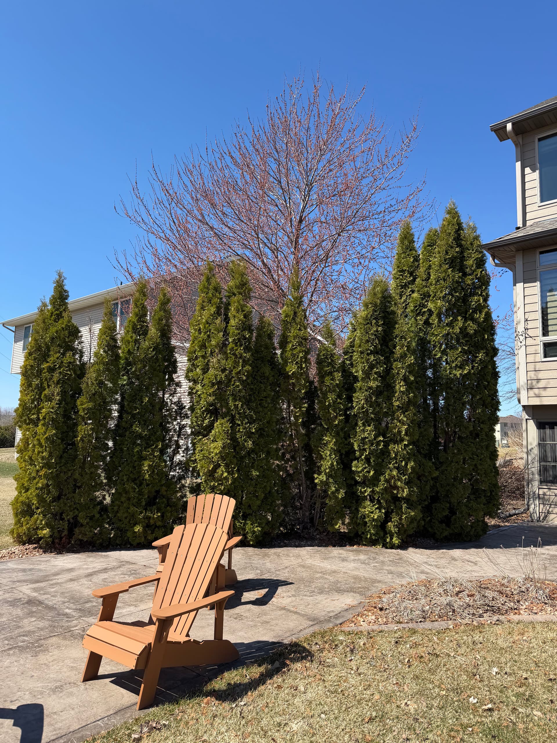 Gallery photos for Before and After Landscape Redesign with Rock and Fresh Plants: Image #2