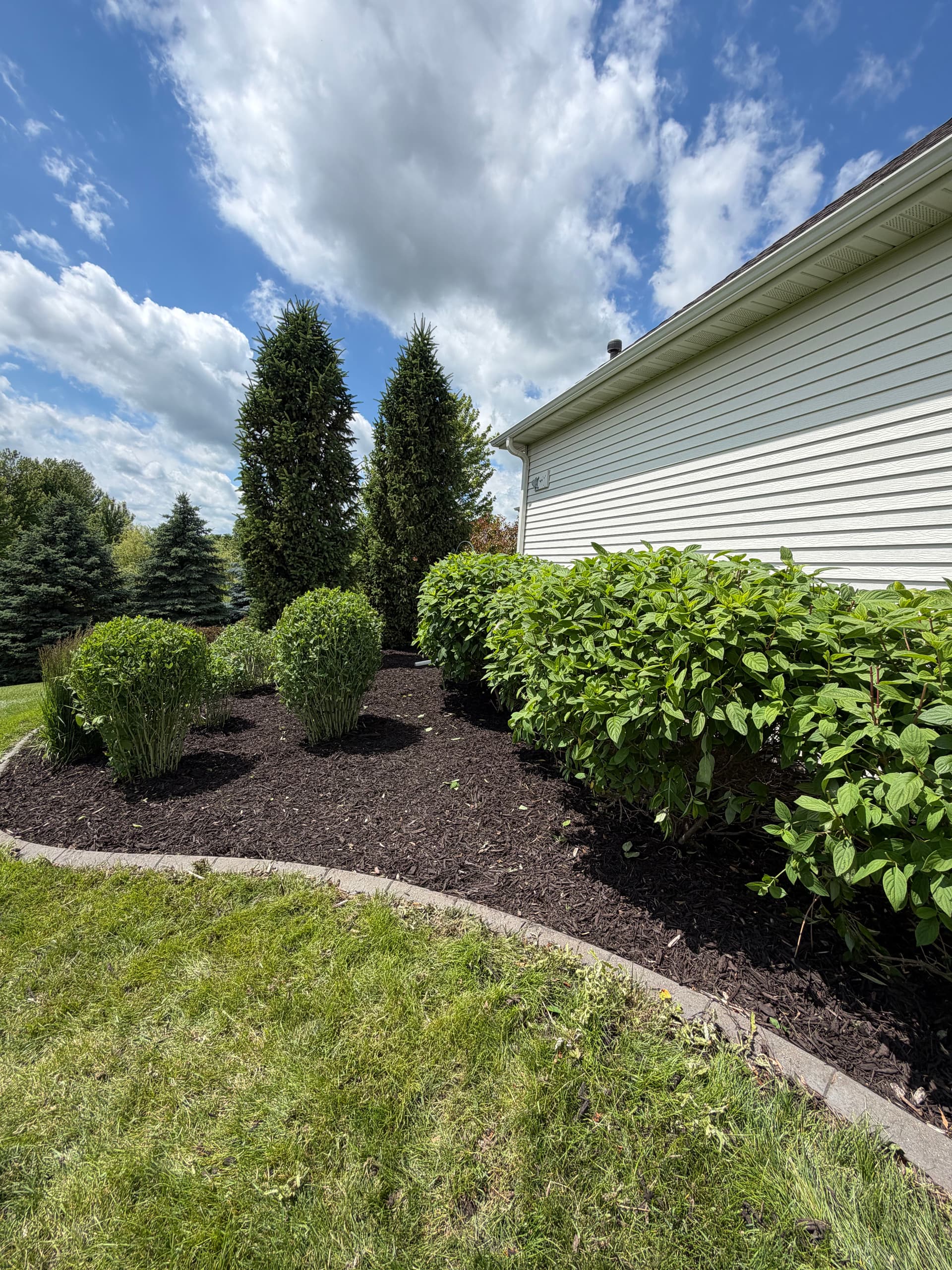 Fresh Mulch and Shrub Trimming Makes a Big Difference image