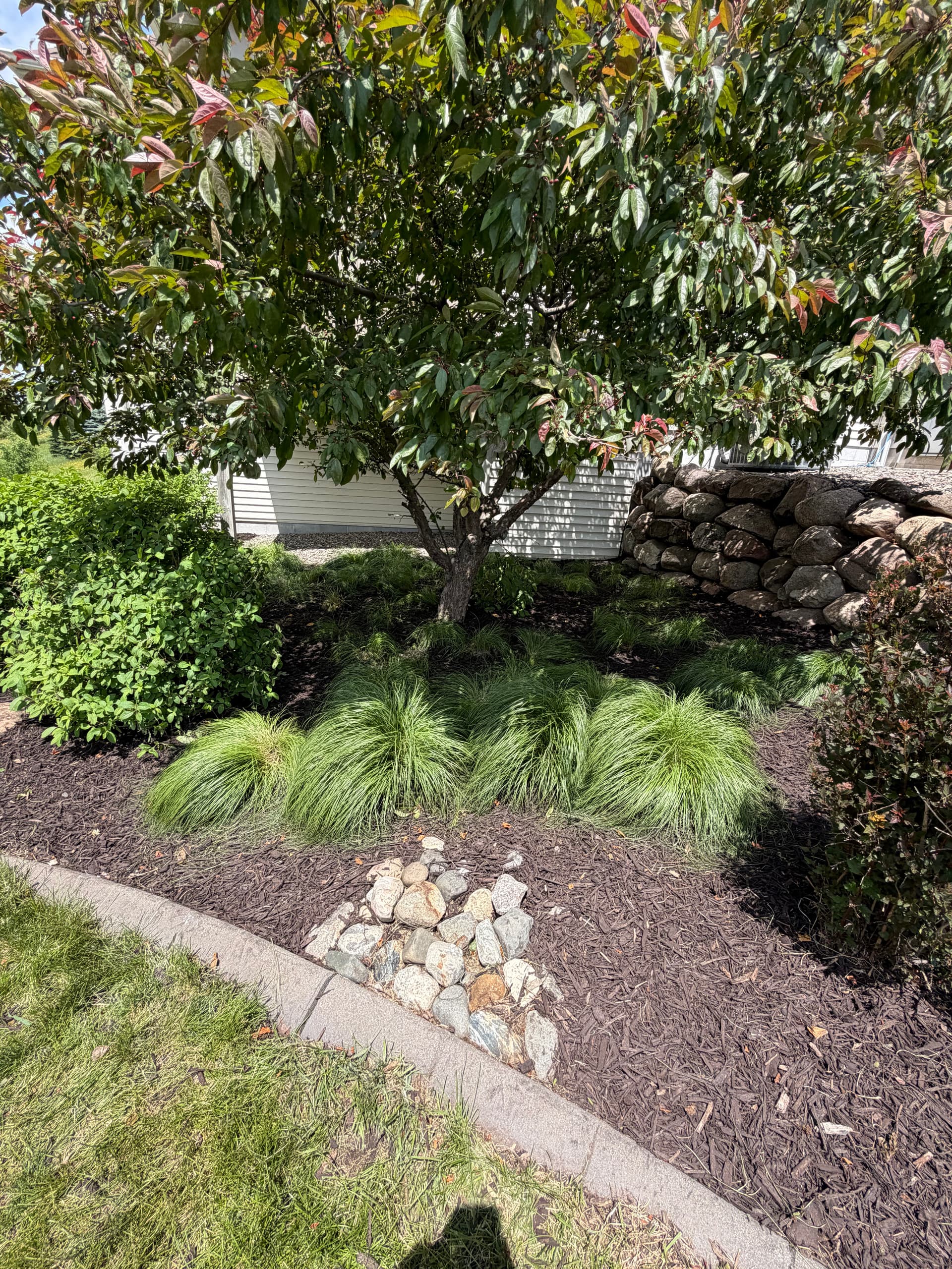 Gallery photos for Fresh Mulch and Shrub Trimming Makes a Big Difference: Image #2