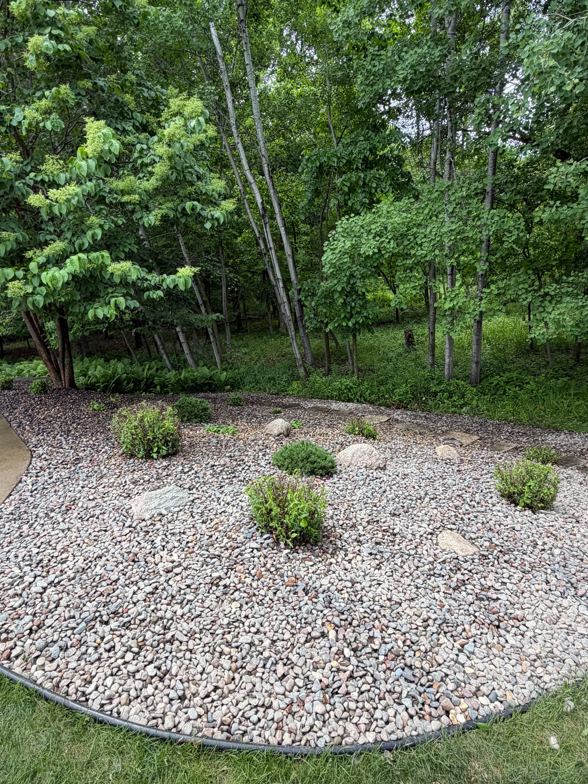 Gallery photos for Rock Bed Refresh with Deer-Resistant Plants in Wright County: Image #2