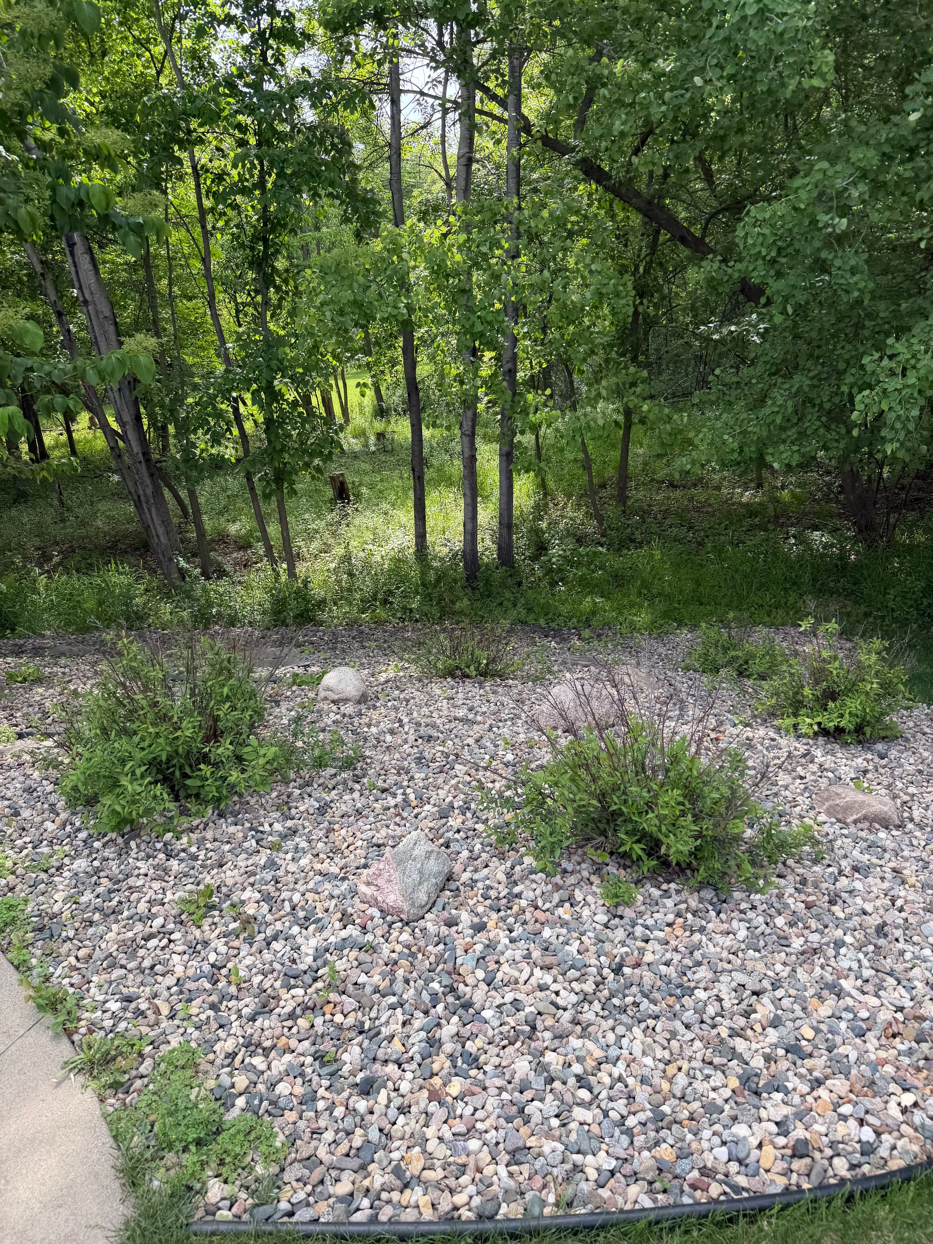 Gallery photos for Rock Bed Refresh with Deer-Resistant Plants in Wright County: Image #3