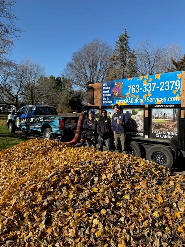 Keeping Your Yard Spotless this Fall image