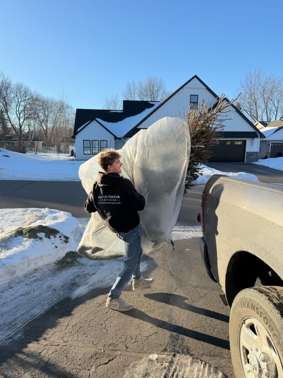 Teaming Up for Our Community Tree Cleanup image