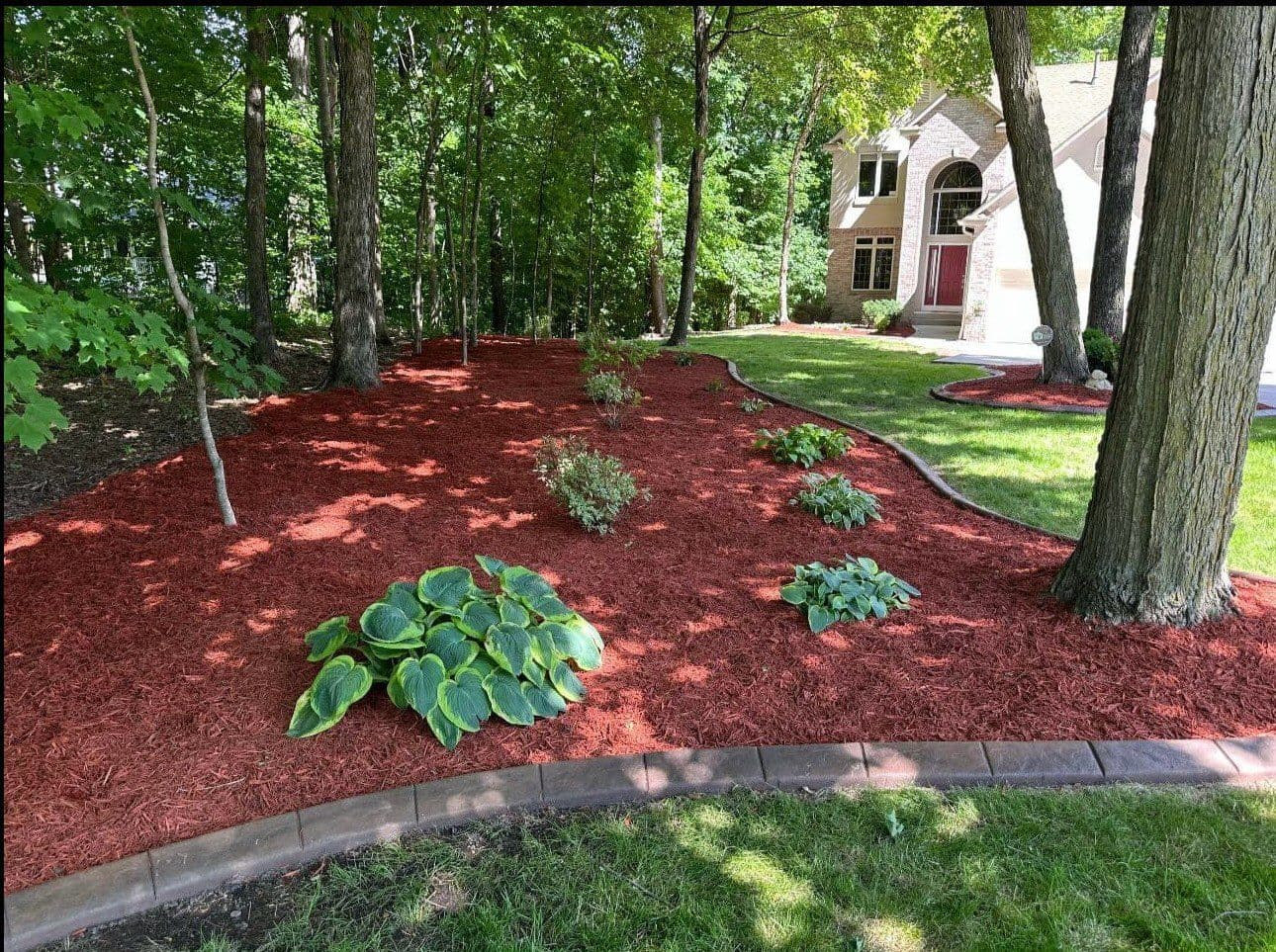 Gallery photos for Springtime Landscaping with Red Mulch and Lush Foliage: Image #1