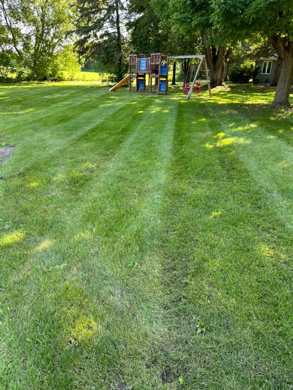 Lush green lawn with striped grass leading to children's playground and swing set.