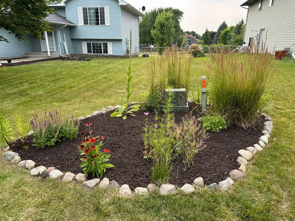 Flowerbed with assorted plants and stones in a residential yard, featuring green grass and landscaping.
