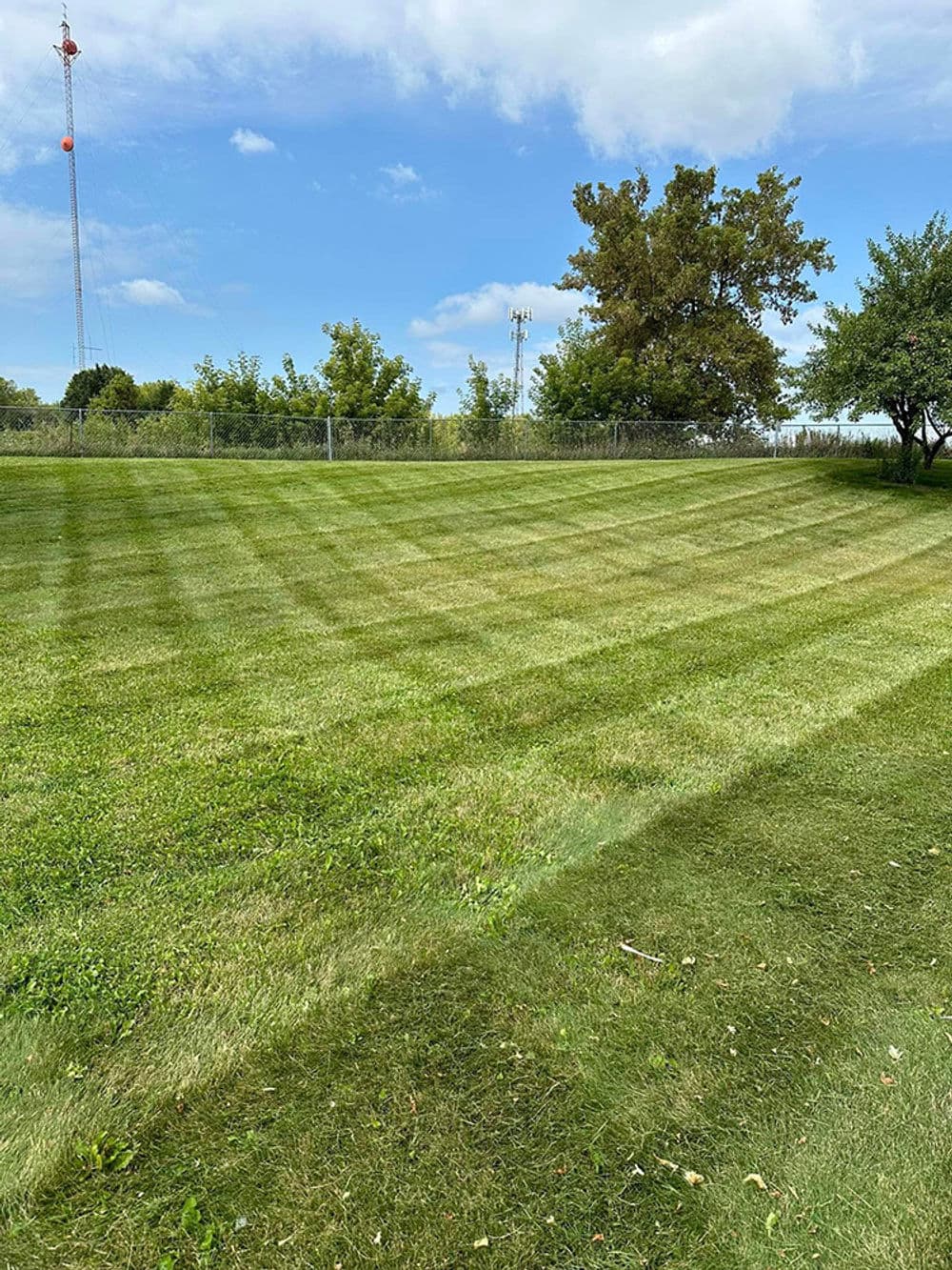 Lush green lawn with striped grass patterns under a clear blue sky and scattered trees.