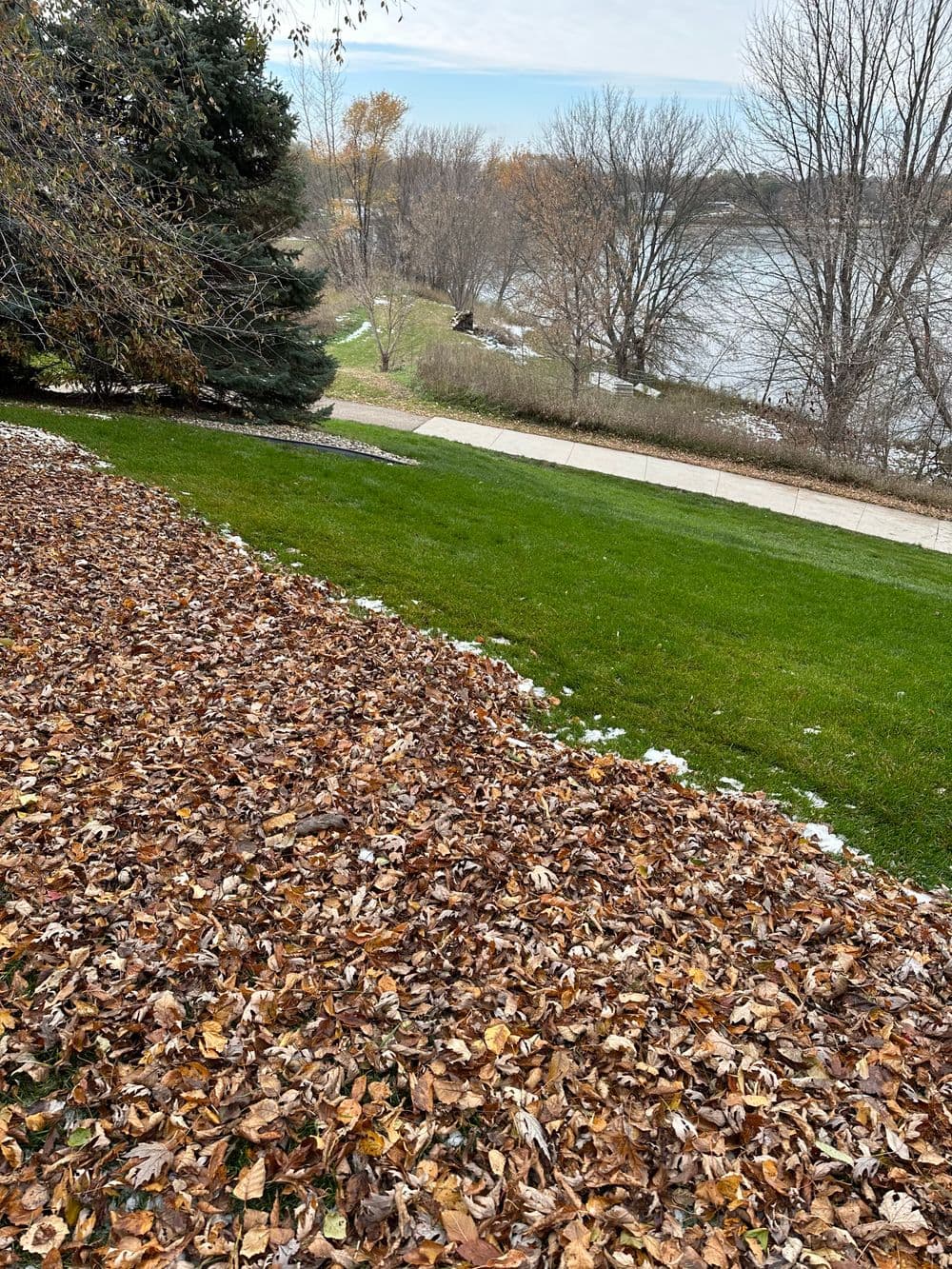 Colorful autumn leaves cover a grassy area near a river, with trees in the background.