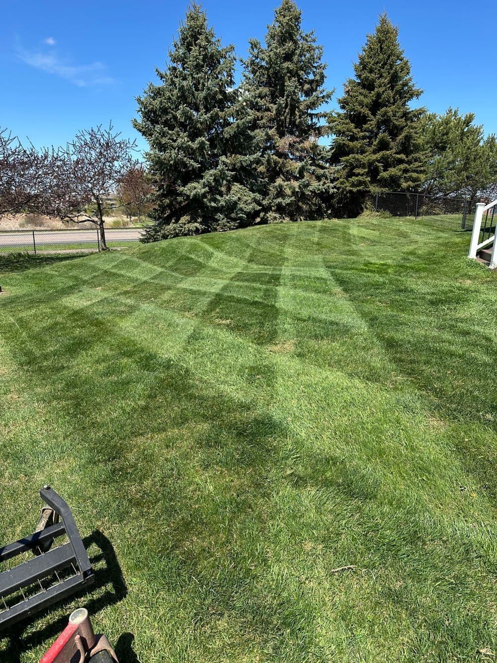 Lush green lawn with striped mowing pattern and tall trees in the background on a sunny day.