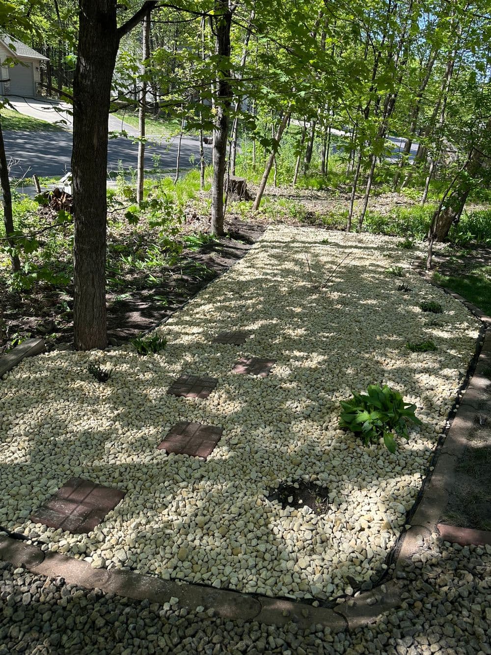 landscaped garden pathway with gravel, stepping stones, and surrounding greenery in sunlight