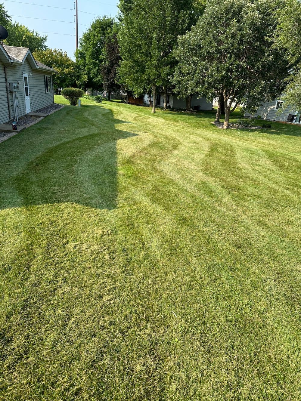 Lush green lawn with freshly mowed stripes and surrounding trees in a residential area.