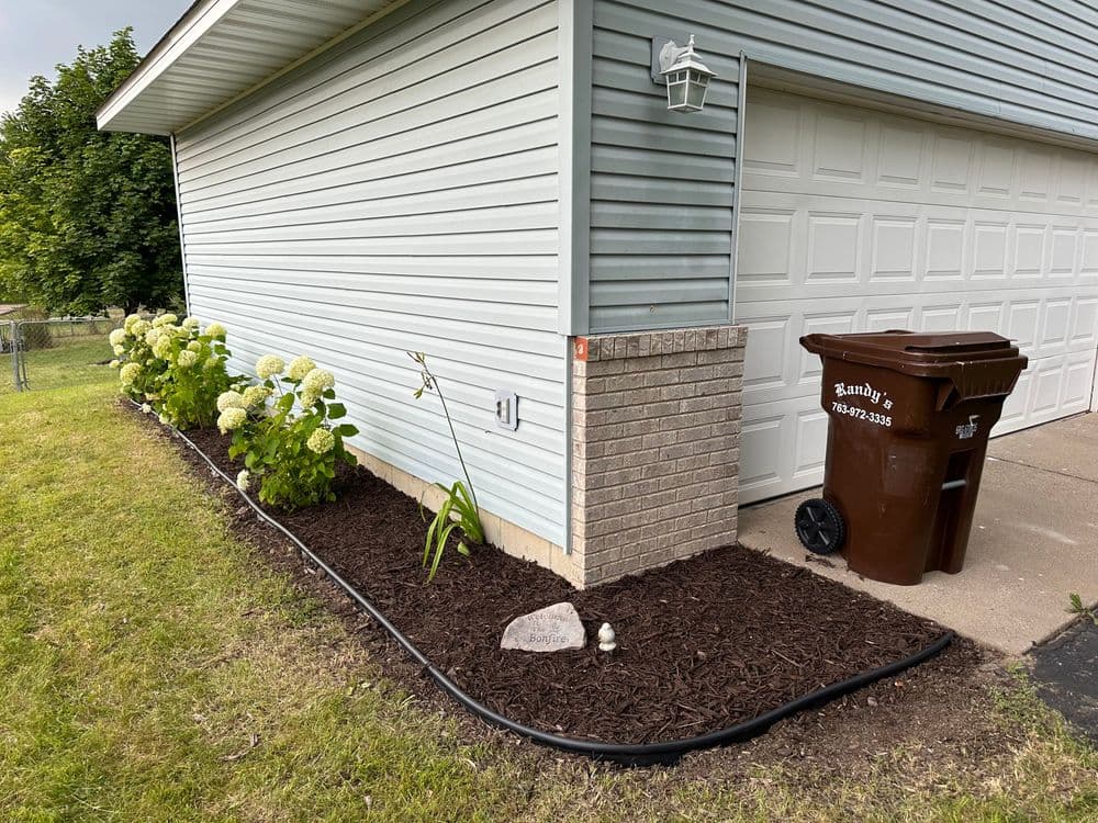 Mulched landscape with hydrangeas and trash bin beside a house exterior.