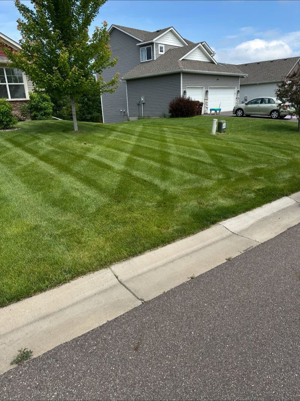 Lawn with striped grass design in a residential neighborhood on a sunny day.