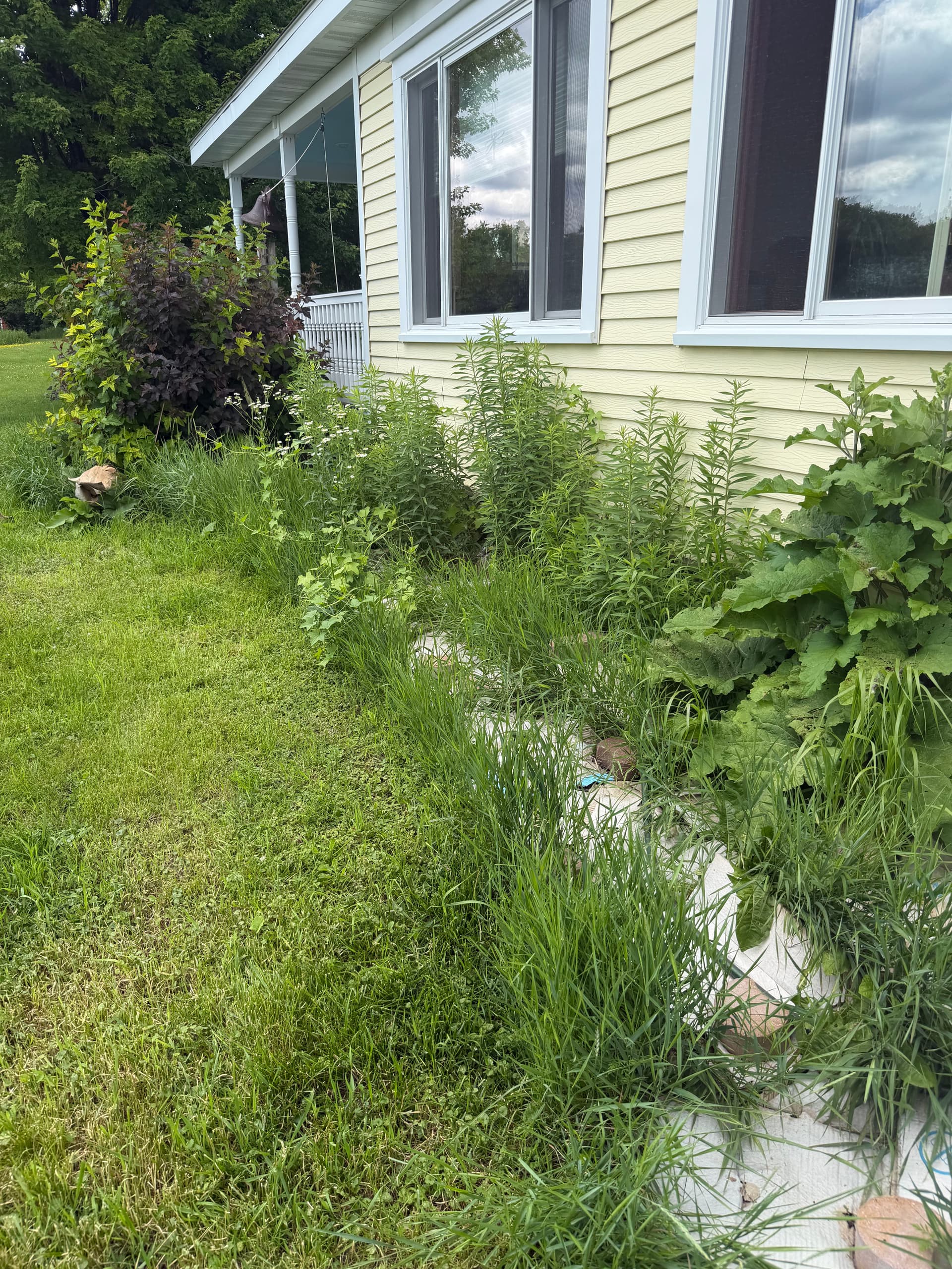 Gallery photos for Overgrown Landscape Cleaned Up and Completely Rebuilt: Image #3