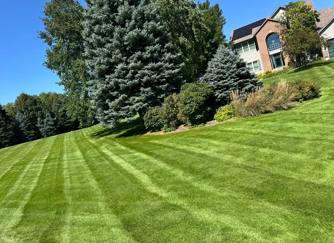 Gallery photos for Open Lawn Care Spots for Buffalo and Surrounding Areas: Image #2