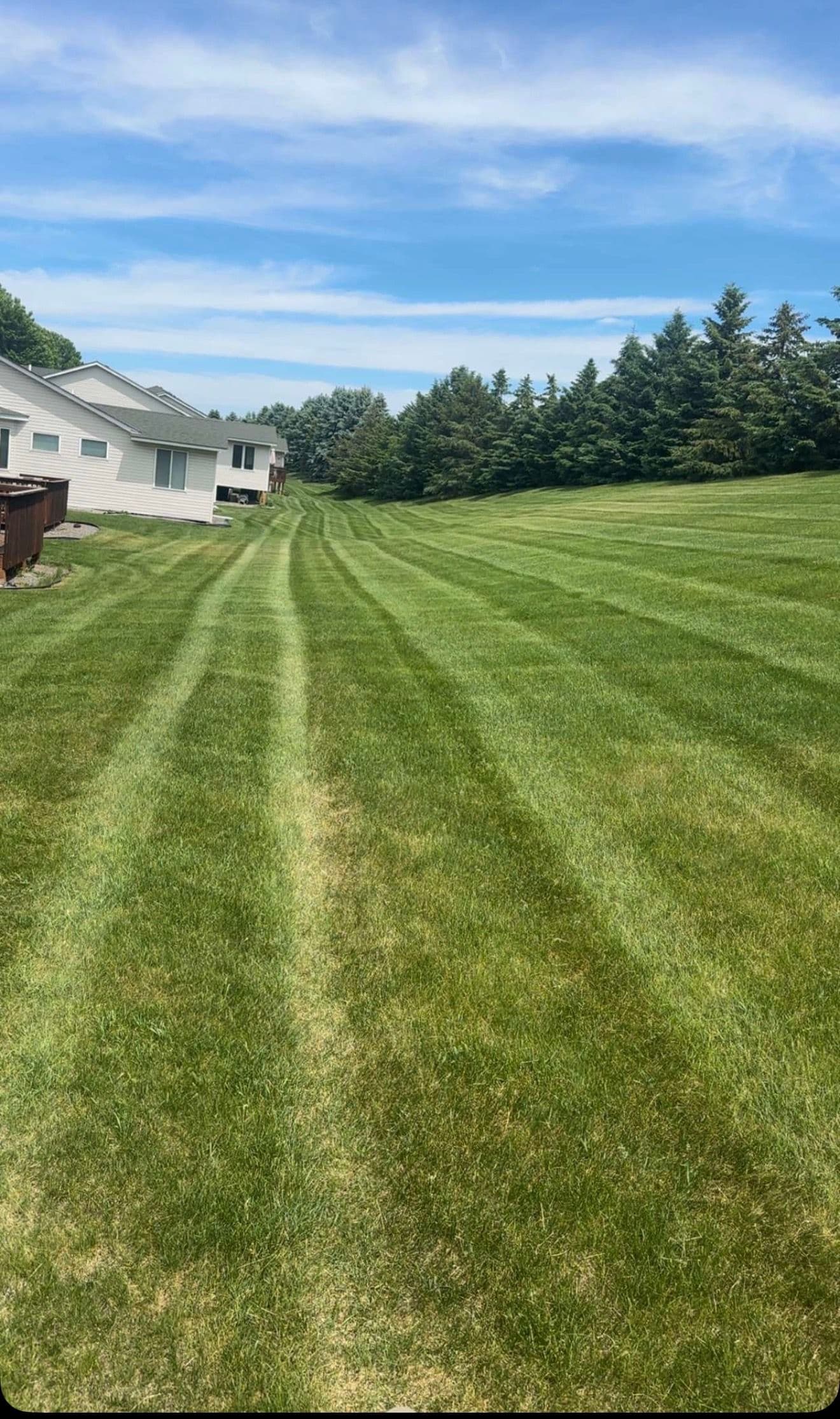 Gallery photos for Clean Stripes and Consistent Results from Our Mowing Crew: Image #3