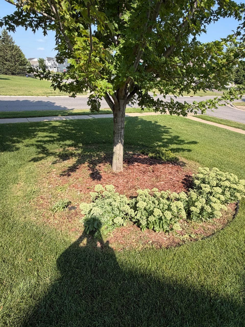 Gallery photos for Small Landscape Upgrades That Make a Big Difference: Image #7