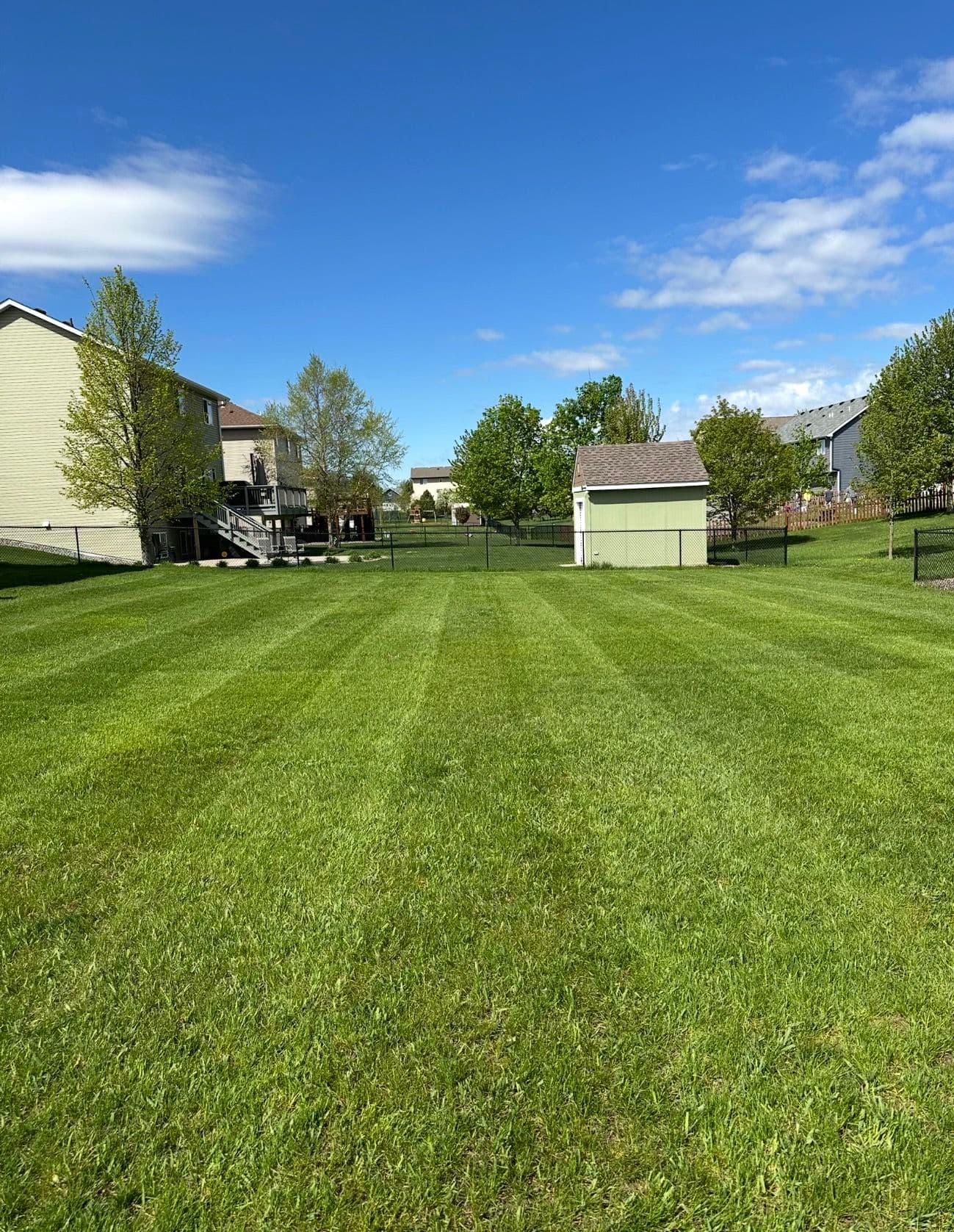 Gallery photos for Open Lawn Care Spots for Buffalo and Surrounding Areas: Image #5